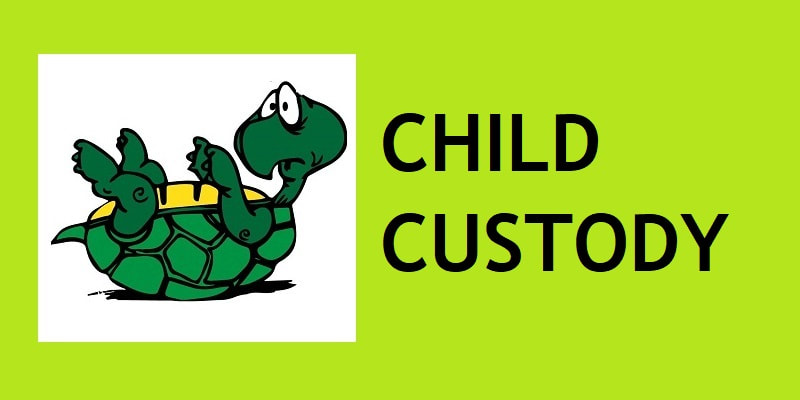 Filler and Hedum Law Firm-Child Custody